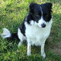 Kelly Gribble Photo 5