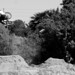Brandon Turner Photo 15