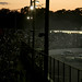 Matthew Healey Photo 15
