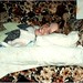 Jill Roberson Photo 40