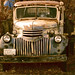 Terry Sprague Photo 21