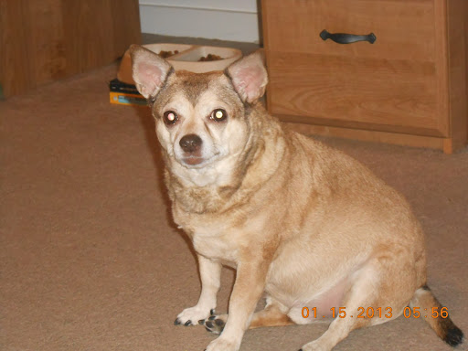 Judy Bryant Photo 12