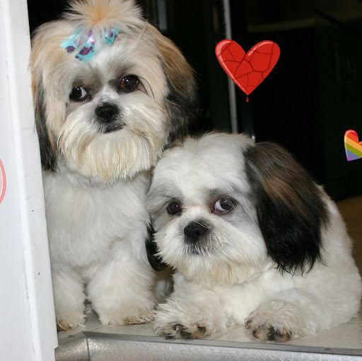 Lois Miller Photo 5