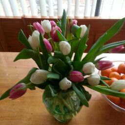Michelle Oster Photo 4
