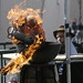 Tracy Evans Photo 40