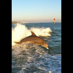 Donna Poole Photo 23