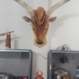 Hung Lang Photo 14