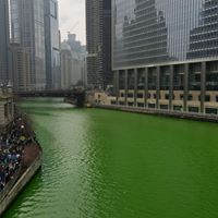 Stephen Kuhn Photo 19