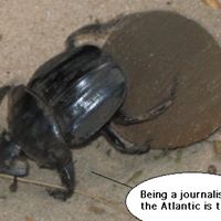 Allen Jacobs Photo 35