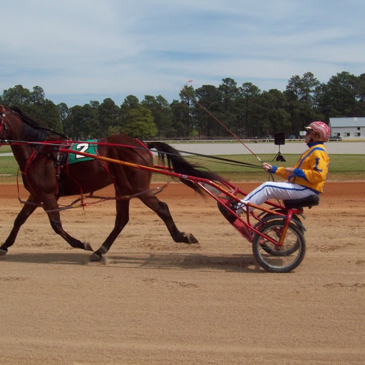 Mitchel Martin Photo 29