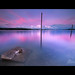 Kelly Estes Photo 9