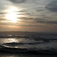 Connie Roper Photo 4
