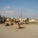 Al Block Photo 20