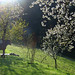 Jack Spring Photo 18