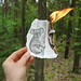 Ben Stout Photo 12