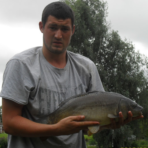 Steven Robins Photo 4
