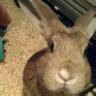 Daisy Weaver Photo 3