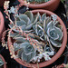 Barbara Huth Photo 14