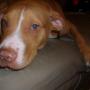 Sue Conner Photo 33