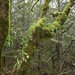 Fern Francis Photo 16