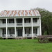 Ann Mcclure Photo 21