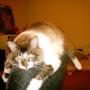 Julia Weis Photo 7