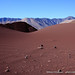 Steven Cone Photo 13