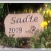 Sadie Stone Photo 19