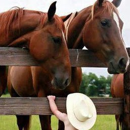 Patricia Chartier Photo 28
