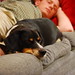 Randall Conway Photo 13