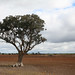 Lee Paddock Photo 7