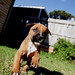 Archie Olds Photo 3