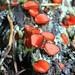 Douglas Lash Photo 7