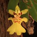 William Garay Photo 3