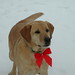 Eddie Short Photo 14