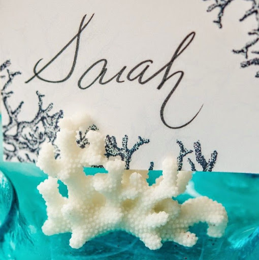 Sarah Scudder Photo 22