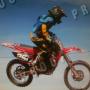 David Magee Photo 15