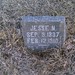 Jesse Sutton Photo 6