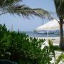 Martin Reynolds Photo 10