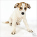 Cynthia Stinson Photo 9