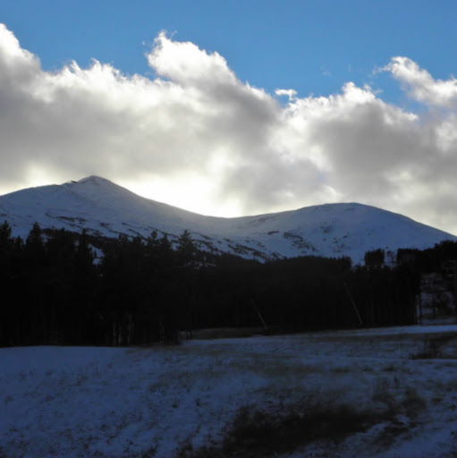 James Downs Photo 39