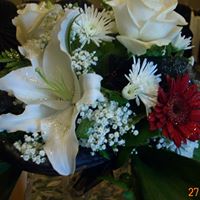 Ann Sampson Photo 34