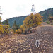 Gary Breeding Photo 11