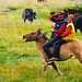 Sharon Dunning Photo 7