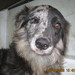 Laura Bonta Photo 2