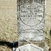 James Riggs Photo 47