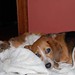 Nancy Minter Photo 38