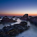 Dawn Flynn Photo 23