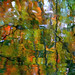 Paul Painter Photo 51