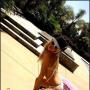 Rosalie Rodgers Photo 8